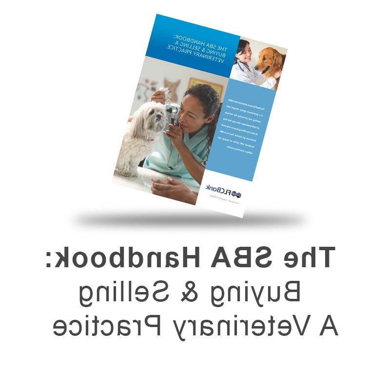 SBA Handbook: Buying & Selling a Veterinary Practice eBook Download